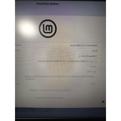 Lenovo IdeaPad 320-15AST – PC portable reconditionné sous Linux Mint